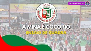 ENSAIO DE QUADRA DA GRANDE RIO | 28 DE JANEIRO DE 2025