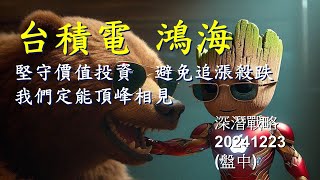 20241223(一)一 台股晚盤點評