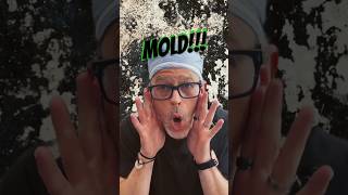 MOLD!! in your home?! What do you do when you find #mold