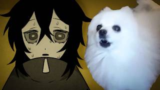Looping the Room vs Dogs
