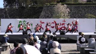 篠山よさこい2016　弥華美　三の丸会場　4ｋ