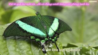 Nijiiro chouchou (Rainbow butterfly) - Hatsune Miku [Vietsub + kara]