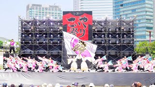 [4K] 佛教大学よさこいサークル紫踊屋　こいや祭り 2024 土曜日