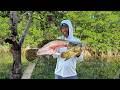 The Forbidden Fruit | Goliath Grouper Catch Clean Cook