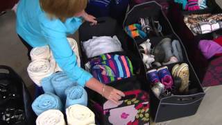 Sachi Insulated Trunk Organizer with Dividers with Jill Bauer