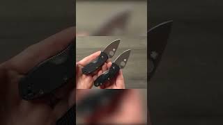 A Knife You Can Take Anywhere: Spyderco Ambitious Lightweight #shorts