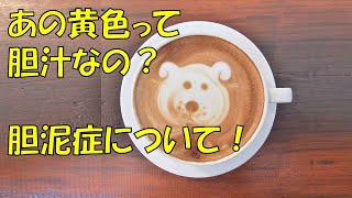 【C\u0026L】胆泥症って？胆汁の役割について