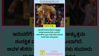 ಲ್ಯೂಬಾ ಹೆಣ್ಣು ಆನೆ #elephant #elephants #animals #facts #unknownfacts #amazingfacts