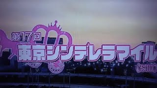 2023 第17回東京シンデレラマイル(S3・大井)-スピーディキック