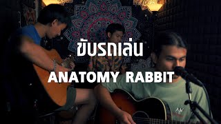 ANATOMY RABBIT - ขับรถเล่น I Cover By Tie I