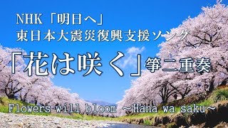 【箏二重奏】花は咲く