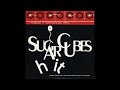 Sugarcubes - Hit