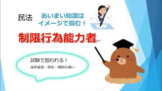 【行政書士試験】制限行為能力者~あいまい知識はイメージで掴む！~成年後見・保佐・補助