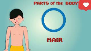 Parts Of the Body ] Body Parts Name Learn In English #bodyparts #bodypartsname