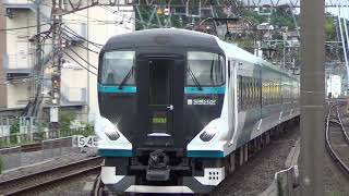 E257系2000番台+2500番台 踊り子 戸塚通過