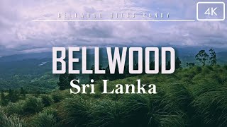 Bellwood Hills in Kandy Sri Lanka | Cinematic Travel Video in 4K