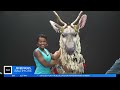 meet sven the cuddly sassy reindeer in disney s frozen musical at the hippodrome