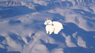 Five Fascinating Facts about Polar Bears by a 1st Grader- Green Screen Animation