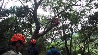 2016 APTCC 亞太平洋攀樹錦標賽 2016 ASIA-PACIFIC TREE CLIMBING CHAMPIONSHIP