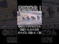 【競馬】馬券勝負！複勝10 000円買ってみた！ 競馬 ギャンブル 大勝負