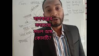 বাগযন্ত্র,ধ্বনি, বর্ণ  (Organ/ voice box, Sound,Letter) Class-6 to 10.