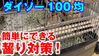 【デグー】ダイソーで簡単♪500円以内でできるゲージ齧り対策！