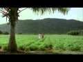 pacha pachani video song bhoga bhagyalu movie krishna sridevi