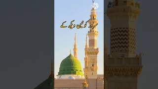 Eid-e-Milad-un-Nabi | new Status | 12 Rabi ul awal Status | Islamic Poetry | #islam #whatsappstatus
