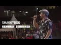 LIVE SHAGGYDOG - KEMBALI BERDANSA // FESMIKRAF 2022