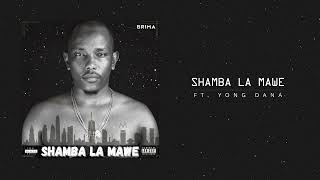 Brima - Shamba La Mawe ft. Yong Dana (Official Audio)