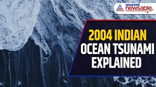 What Happened During the 2004 Indian Ocean Tsunami? | A Tragic Day in History