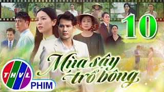 MÙA SẬY TRỔ BÔNG Tập 10 | Phim Truyền Hình Việt Nam Hay Mới Nhất 2024 | Phim Mới Nhất THVL 2024