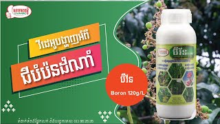 ជីបំប៉នដំណាំ B-One