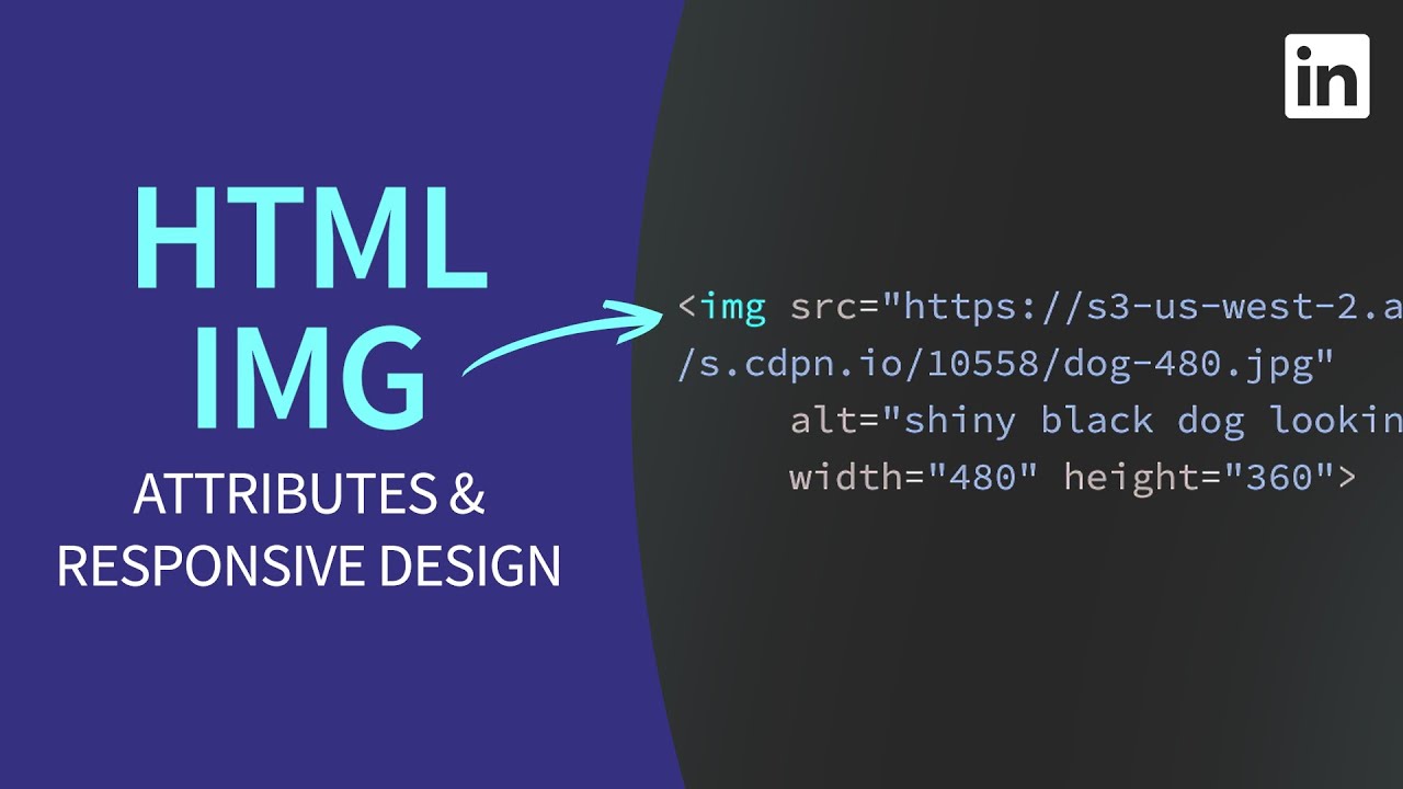 HTML Tutorial - IMG Tag Attributes And Responsive Resolution