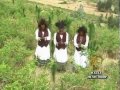 ashenafi yohannes jimma oromo music