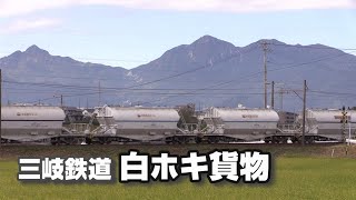 三岐鉄道を行く白ホキ貨物列車