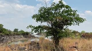 7 Falls of Sioma \u0026 Ngonye. Zambezi River, Western Province, Zambia. With the river level at a low.