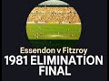 1981 Elimination Final, Essendon v Fitzroy, Channel 7.  Fitzroy win by 15 pts. (last 4 mins missing)