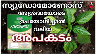 സ്യൂഡോമോണോസ് അപകടകാരിയാണോ?  Pseudomonas fluorescens malayalam uses | Prs kitchen krishi videos