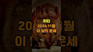 쥐띠 2024년 11월 운세 #쥐띠 #월별운세 #운세