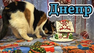 💙ДНЕПР ‼️У меня НОВЫЙ ДОМ🏠ВСЕЛЕННАЯ меня Услышала🏠26.12.2024 г.