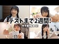 テスト2週間前になったのでテスト勉強始めるJKの放課後Vlog📖