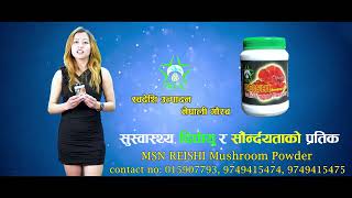 रातो च्याउको धुलो MSN Reishi Mushroom Powder को सेवन गरौ, स्वस्थ रहौ!