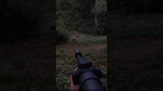 assassinu9 на кабана в открытом грунте #hunting #cinghiale #chasse #wildboar #охота#дикий