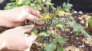 ミニトマトの育て方 〜仕立て編〜 - LOVEGREEN動画