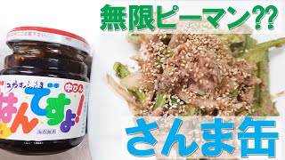 無限ピーマン⁇　さんま缶＋ごはんですよ【サンマ缶詰レシピ】【さんま缶】【おつまみ】【簡単レシピ】【Canned saury pike】