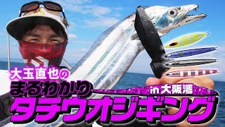 大玉直也のまるわかりタチウオジギングin大阪湾