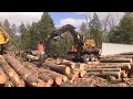 Lyons&Tenney Timber Harvesting