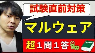 マルウェア試験直前対策【虫🐛食い問題】高校情報１／支援士・応用情報・ネスペ・基本情報