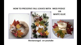 DIY, How to preserve FALL LEAVES, with Mod Podge or white glue, #shorts,